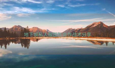 地下城私人服团队合作战术分享