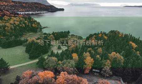 地下城私人服排行榜解析